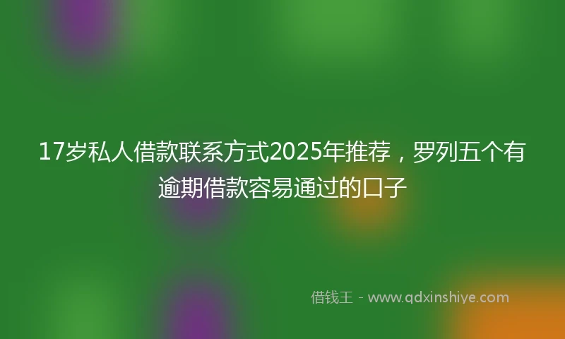 17岁私人借款联系方式2025年推荐，罗列五个有逾期借款容易通过的口子