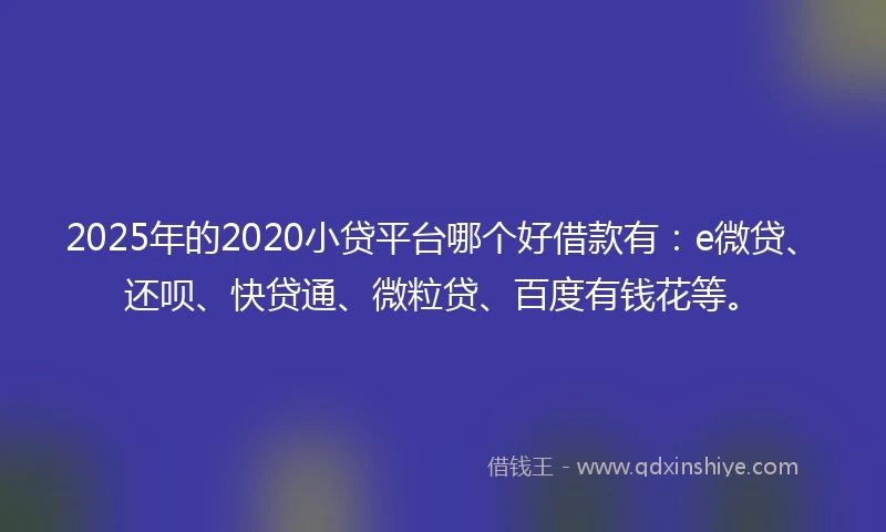 2025年的2020小贷平台哪个好借款有：e微贷、还呗、快贷通、微粒贷、百度有钱花等。