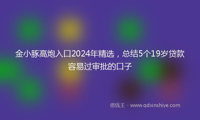 金小豚高炮入口2024年精选，总结5个19岁贷款容易过审批的口子