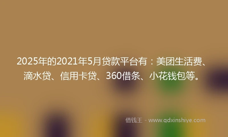 2025年的2021年5月贷款平台有：美团生活费、滴水贷、信用卡贷、360借条、小花钱包等。