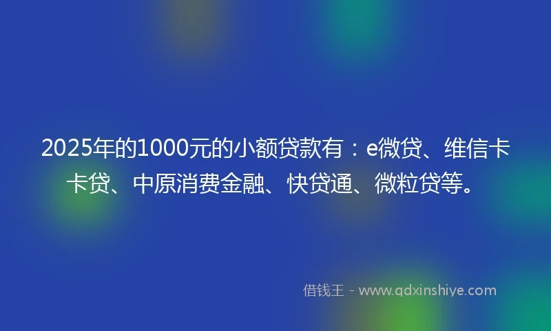 2025年的1000元的小额贷款有：e微贷、维信卡卡贷、中原消费金融、快贷通、微粒贷等。