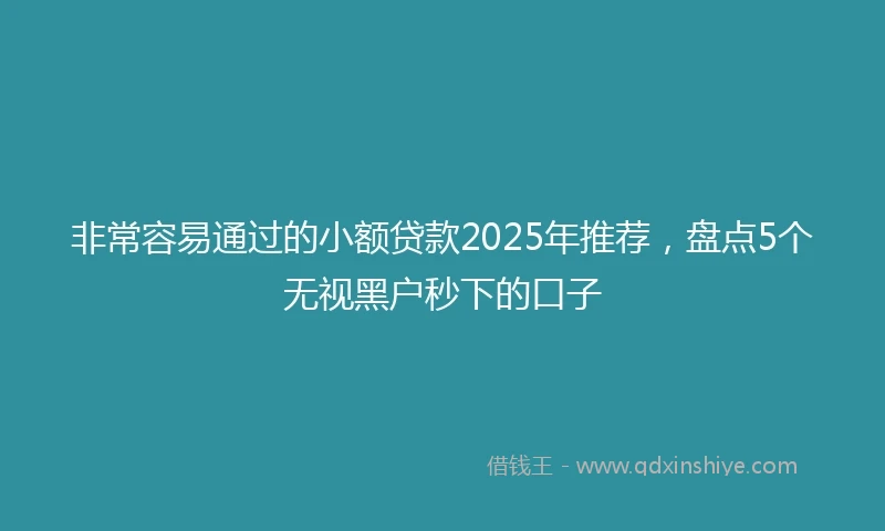 非常容易通过的小额贷款2025年推荐，盘点5个无视黑户秒下的口子