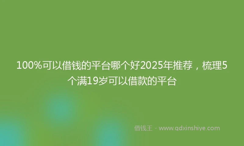 100%可以借钱的平台哪个好2025年推荐，梳理5个满19岁可以借款的平台