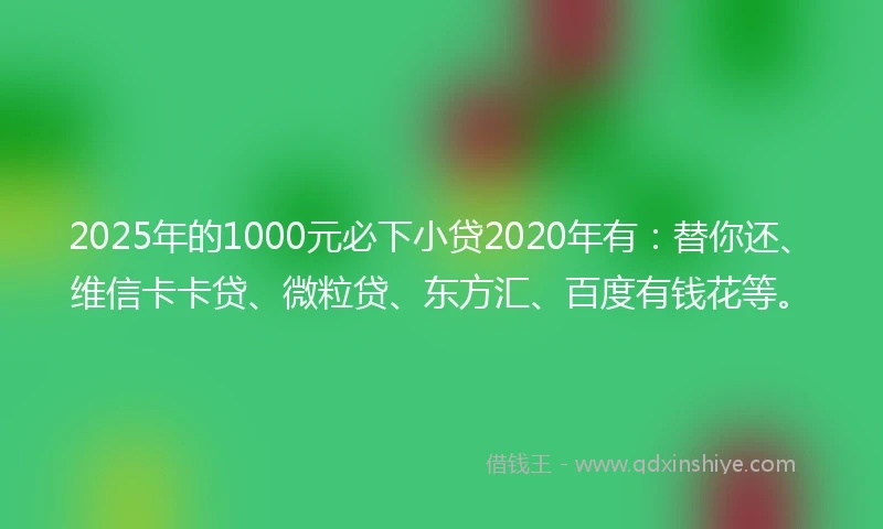 2025年的1000元必下小贷2020年有：替你还、维信卡卡贷、微粒贷、东方汇、百度有钱花等。