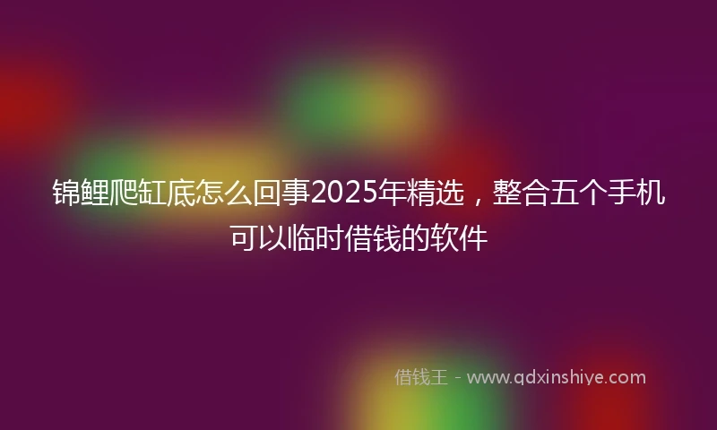 锦鲤爬缸底怎么回事2025年精选，整合五个手机可以临时借钱的软件