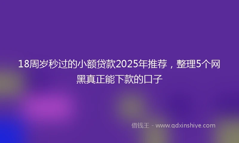 18周岁秒过的小额贷款2025年推荐，整理5个网黑真正能下款的口子