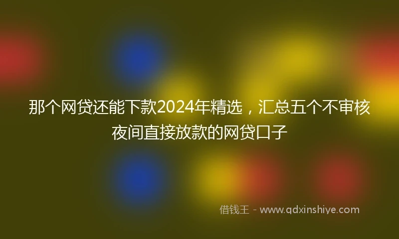 那个网贷还能下款2024年精选，汇总五个不审核夜间直接放款的网贷口子