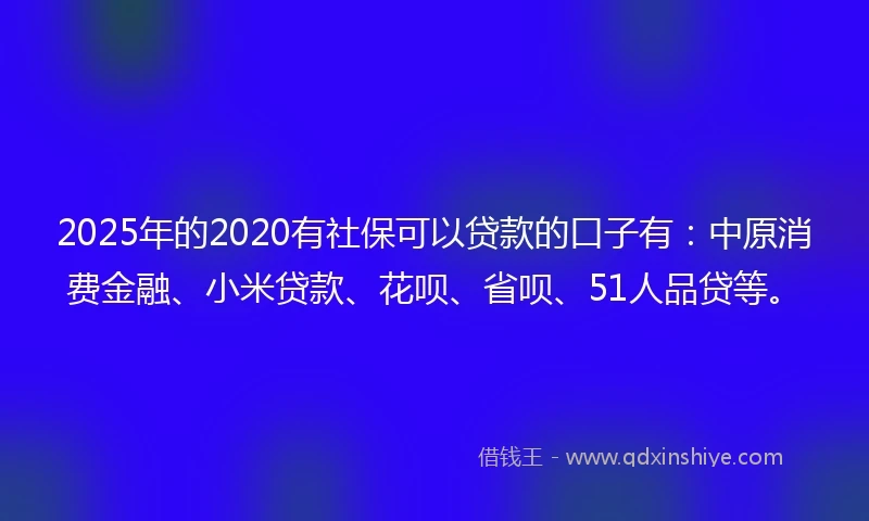 2025年的2020有社保可以贷款的口子有：中原消费金融、小米贷款、花呗、省呗、51人品贷等。