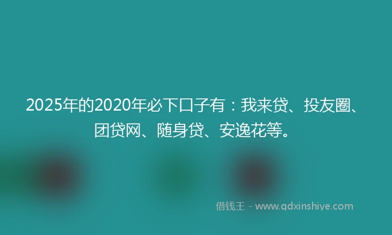 2025年的2020年必下口子有：我来贷、投友圈、团贷网、随身贷、安逸花等。
