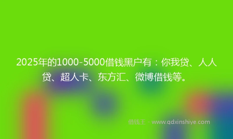 2025年的1000-5000借钱黑户有：你我贷、人人贷、超人卡、东方汇、微博借钱等。