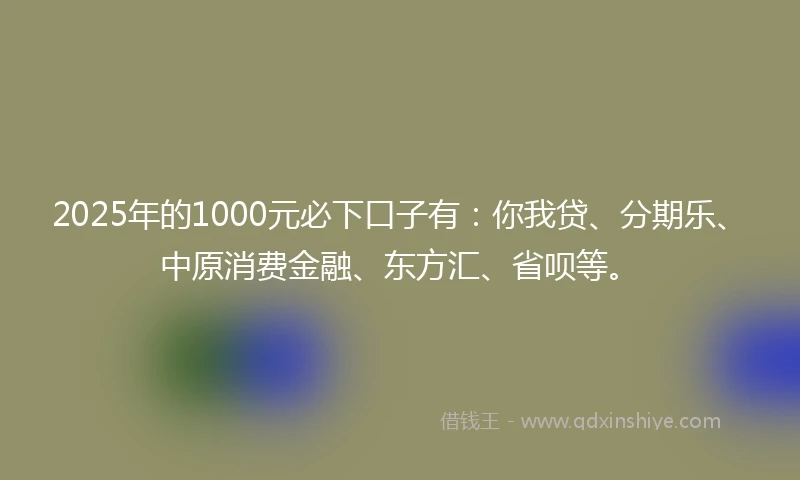 2025年的1000元必下口子有：你我贷、分期乐、中原消费金融、东方汇、省呗等。