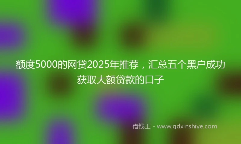 额度5000的网贷2025年推荐，汇总五个黑户成功获取大额贷款的口子
