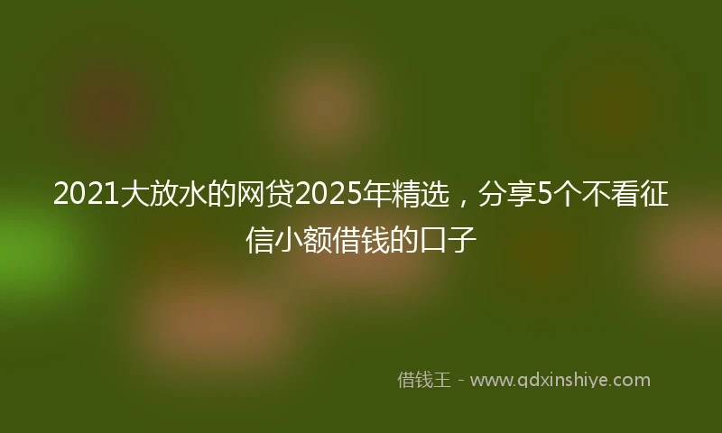 2021大放水的网贷2025年精选，分享5个不看征信小额借钱的口子