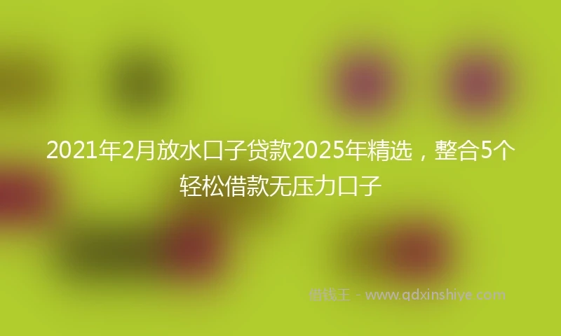 2021年2月放水口子贷款2025年精选，整合5个轻松借款无压力口子