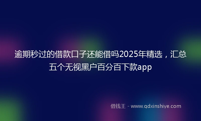 逾期秒过的借款口子还能借吗2025年精选，汇总五个无视黑户百分百下款app