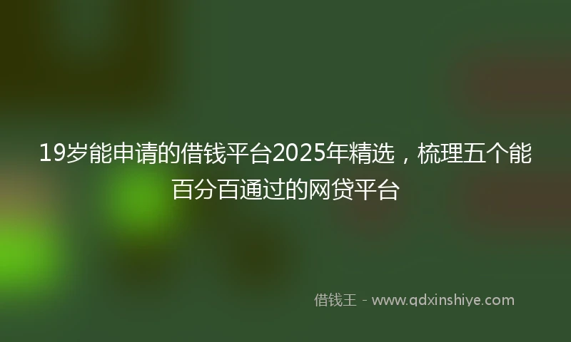 19岁能申请的借钱平台2025年精选，梳理五个能百分百通过的网贷平台