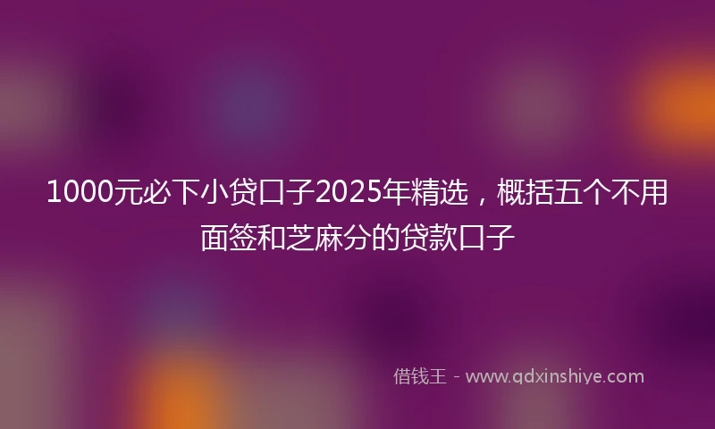 1000元必下小贷口子2025年精选，概括五个不用面签和芝麻分的贷款口子