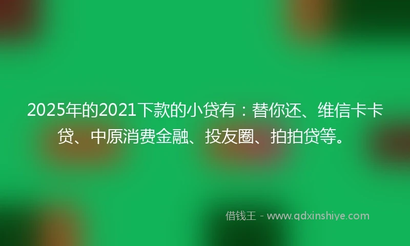 2025年的2021下款的小贷有：替你还、维信卡卡贷、中原消费金融、投友圈、拍拍贷等。