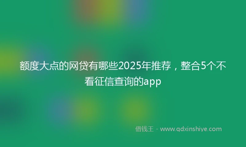 额度大点的网贷有哪些2025年推荐，整合5个不看征信查询的app