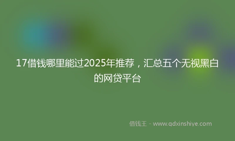 17借钱哪里能过2025年推荐，汇总五个无视黑白的网贷平台