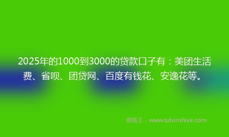 2025年的1000到3000的贷款口子有：美团生活费、省呗、团贷网、百度有钱花、安逸花等。