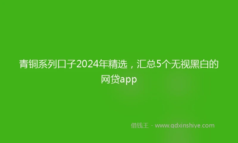 青铜系列口子2024年精选，汇总5个无视黑白的网贷app