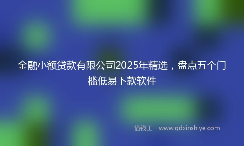 金融小额贷款有限公司2025年精选，盘点五个门槛低易下款软件