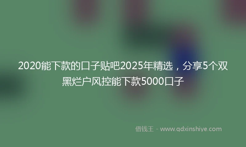 2020能下款的口子贴吧2025年精选，分享5个双黑烂户风控能下款5000口子