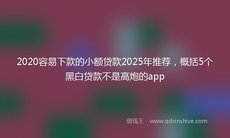 2020容易下款的小额贷款2025年推荐，概括5个黑白贷款不是高炮的app