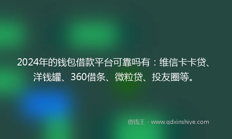 2024年的钱包借款平台可靠吗有：维信卡卡贷、洋钱罐、360借条、微粒贷、投友圈等。