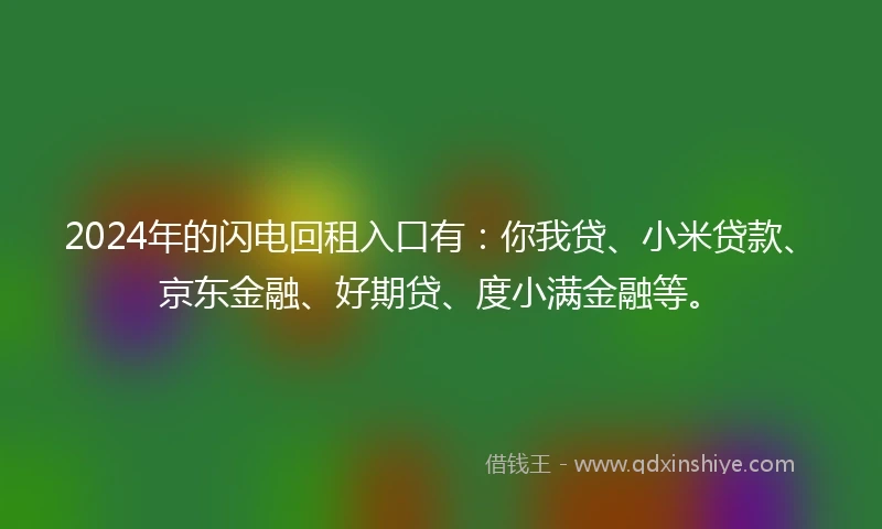 2024年的闪电回租入口有：你我贷、小米贷款、京东金融、好期贷、度小满金融等。