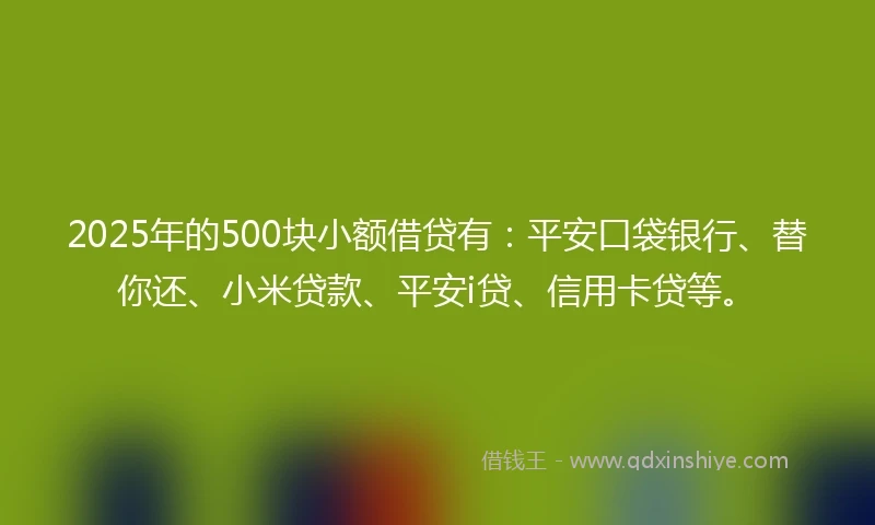 2025年的500块小额借贷有：平安口袋银行、替你还、小米贷款、平安i贷、信用卡贷等。