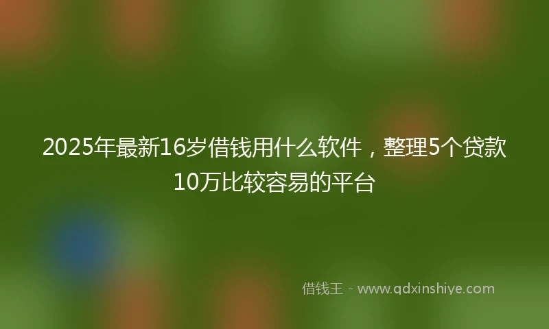 2025年最新16岁借钱用什么软件，整理5个贷款10万比较容易的平台