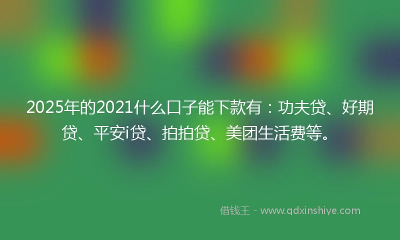 2025年的2021什么口子能下款有：功夫贷、好期贷、平安i贷、拍拍贷、美团生活费等。