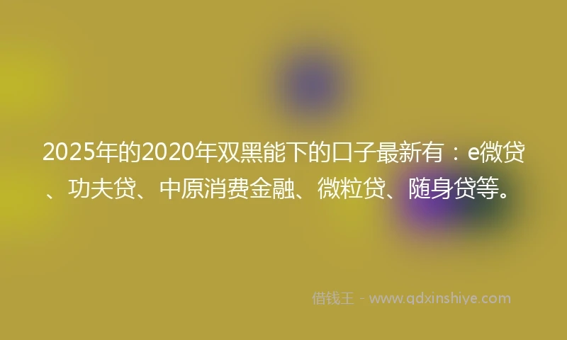 2025年的2020年双黑能下的口子最新有：e微贷、功夫贷、中原消费金融、微粒贷、随身贷等。