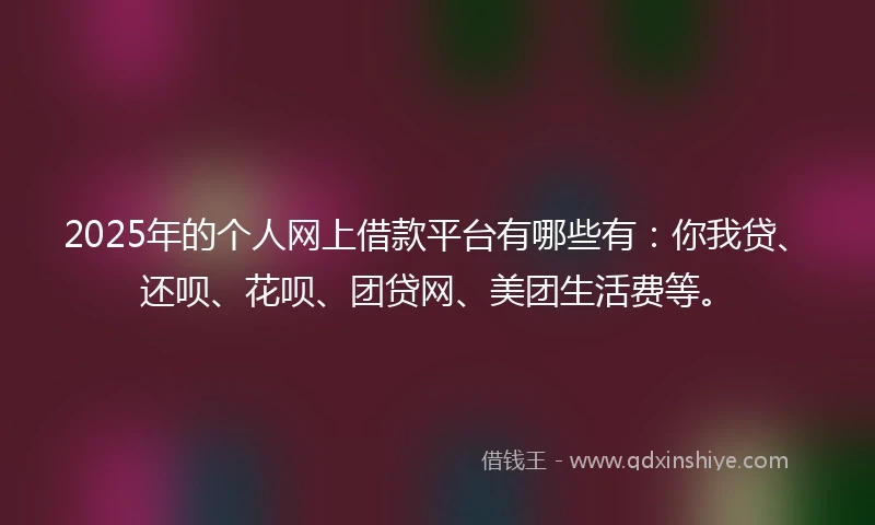 2025年的个人网上借款平台有哪些有：你我贷、还呗、花呗、团贷网、美团生活费等。