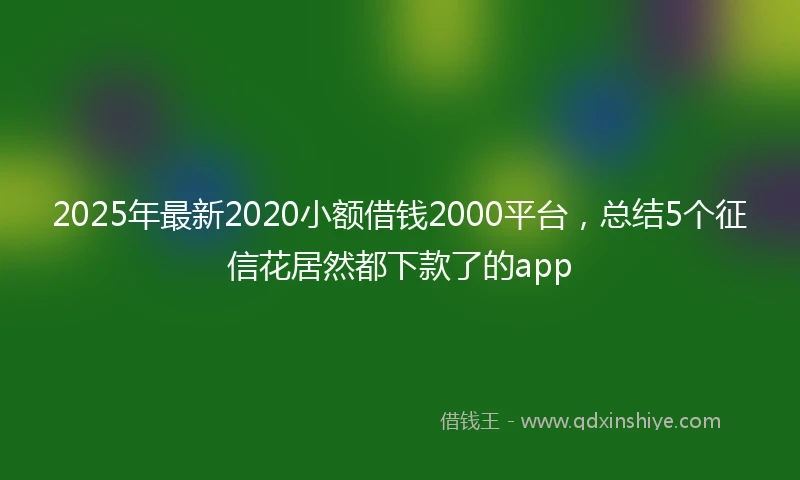 2025年最新2020小额借钱2000平台，总结5个征信花居然都下款了的app