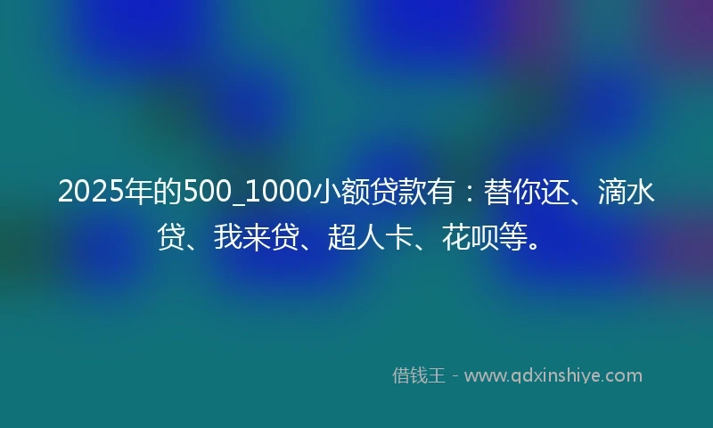 2025年的500_1000小额贷款有：替你还、滴水贷、我来贷、超人卡、花呗等。