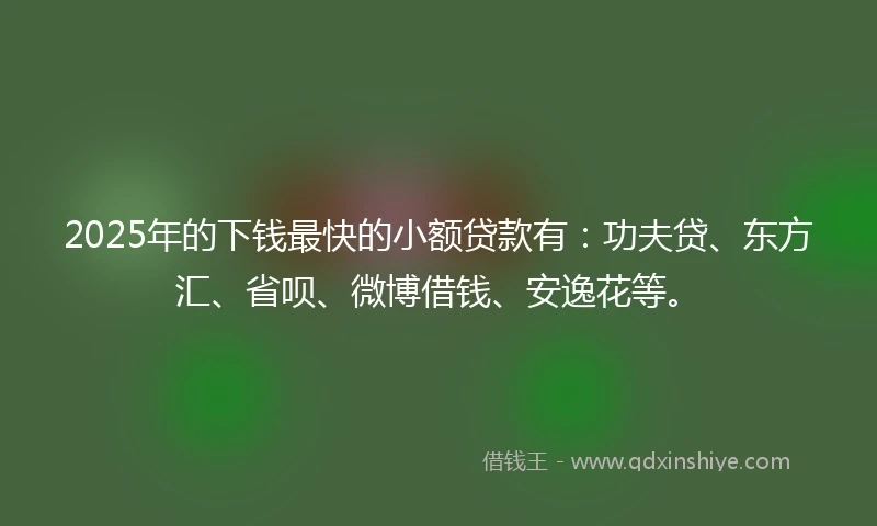 2025年的下钱最快的小额贷款有：功夫贷、东方汇、省呗、微博借钱、安逸花等。