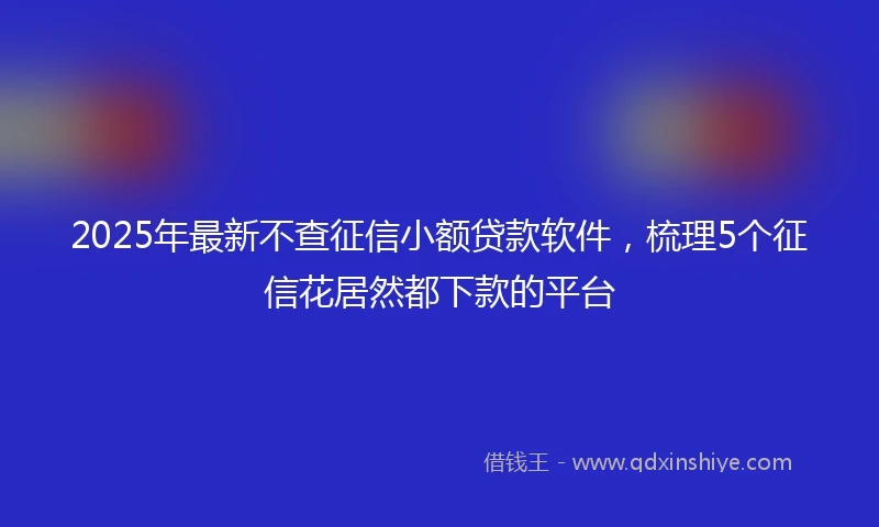 2025年最新不查征信小额贷款软件，梳理5个征信花居然都下款的平台