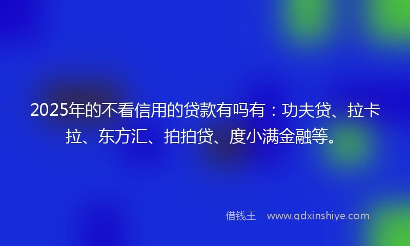2025年的不看信用的贷款有吗有：功夫贷、拉卡拉、东方汇、拍拍贷、度小满金融等。