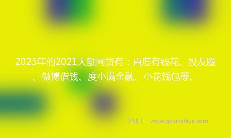 2025年的2021大额网贷有：百度有钱花、投友圈、微博借钱、度小满金融、小花钱包等。