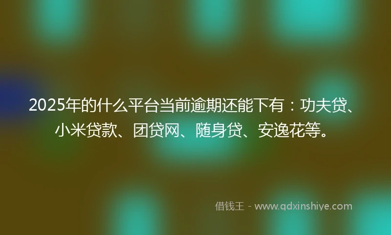 2025年的什么平台当前逾期还能下有：功夫贷、小米贷款、团贷网、随身贷、安逸花等。