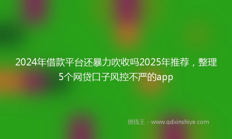 2024年借款平台还暴力吹收吗2025年推荐，整理5个网贷口子风控不严的app
