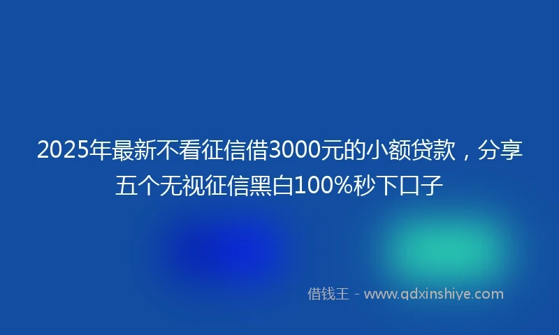 2025年最新不看征信借3000元的小额贷款，分享五个无视征信黑白100%秒下口子