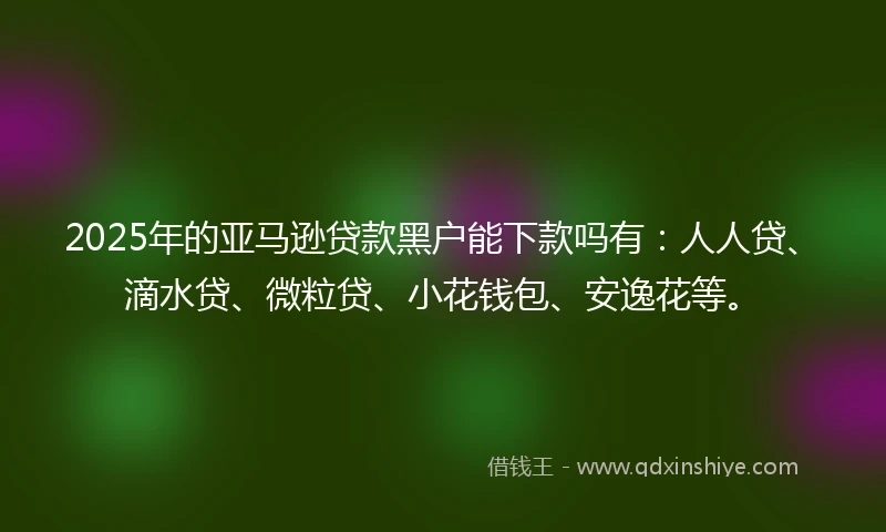 2025年的亚马逊贷款黑户能下款吗有：人人贷、滴水贷、微粒贷、小花钱包、安逸花等。