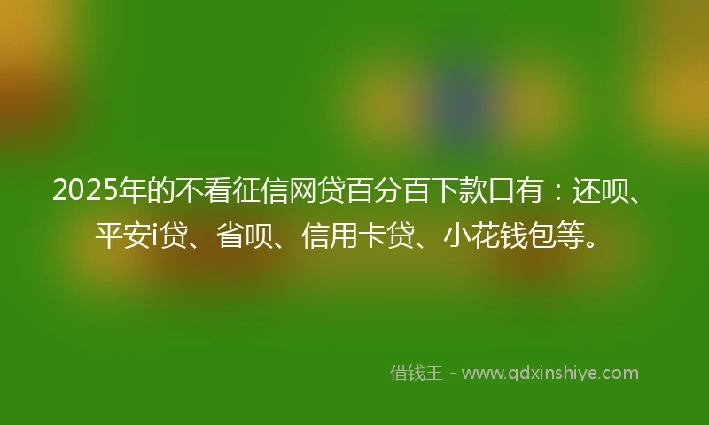 2025年的不看征信网贷百分百下款口有：还呗、平安i贷、省呗、信用卡贷、小花钱包等。