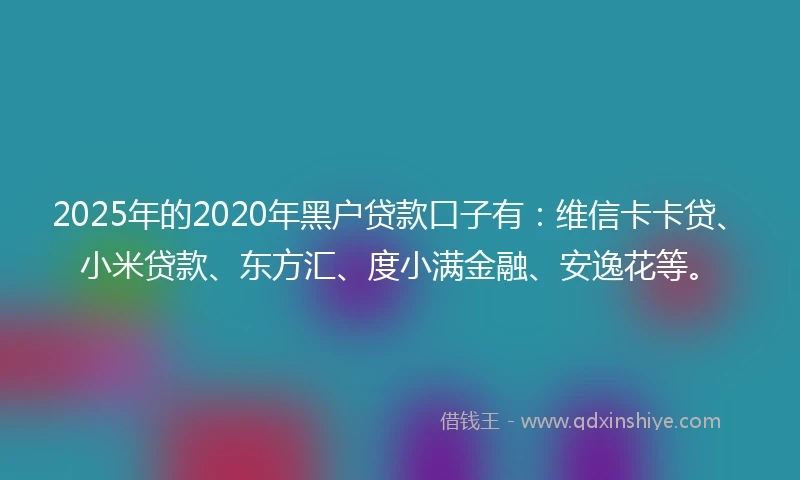 2025年的2020年黑户贷款口子有：维信卡卡贷、小米贷款、东方汇、度小满金融、安逸花等。