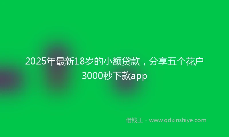 2025年最新18岁的小额贷款，分享五个花户3000秒下款app