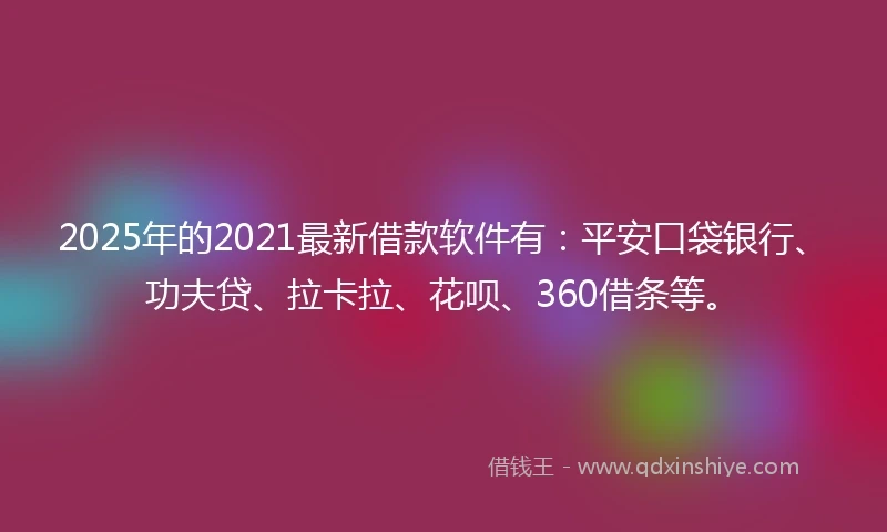 2025年的2021最新借款软件有：平安口袋银行、功夫贷、拉卡拉、花呗、360借条等。